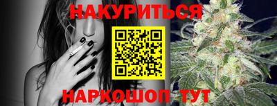 сатива Аргун